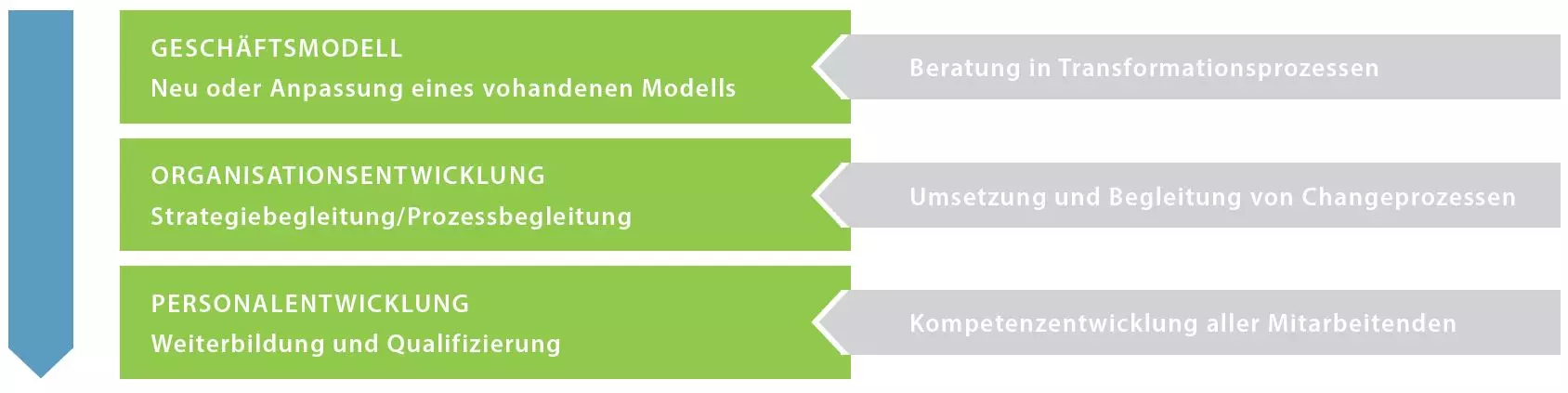 Personal- und Organisationsentwicklung sowie Beratung aus einer Hand