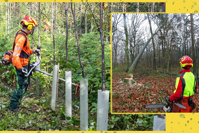 Arbeiten, wo andere Erholung suchen